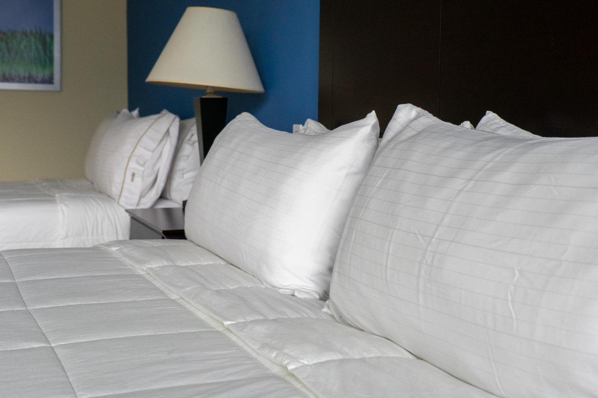 Intercity Hotels San Pedro Sula Extérieur photo